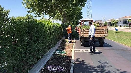 Park ve Bahçelerin Bakımı Yapılıyor