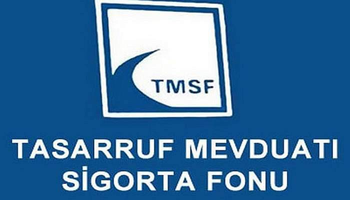 İki firma TMSF’ye devredildi