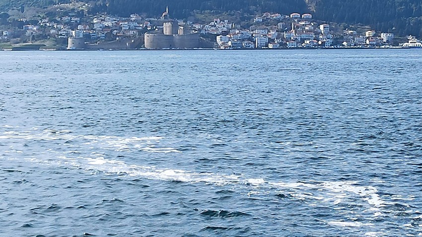 Çanakkale Boğazı'nda müsilaj tehdidi devam ediyor