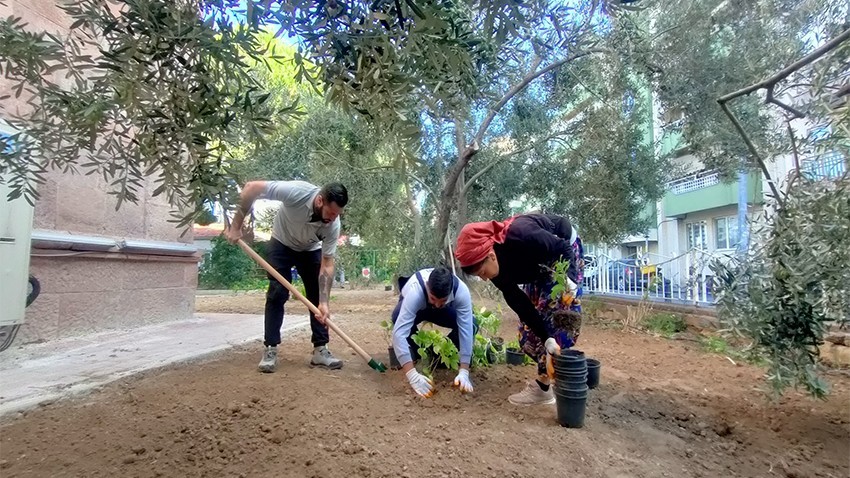 Tarihi Necippaşa Camii'nde Çevre Düzenlemesi Yapıldı