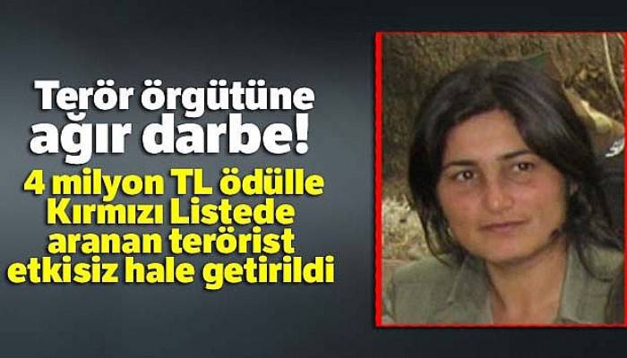 Terör örgütüne ağır darbe! 4 milyon TL ödülle Kırmızı Listede aranan terörist etkisiz hale getirildi