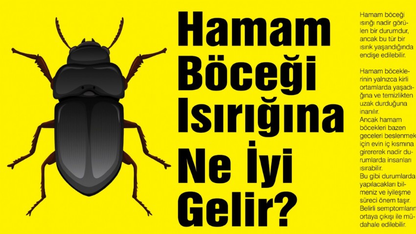 Hamam Böceği Isırığına Ne İyi Gelir?