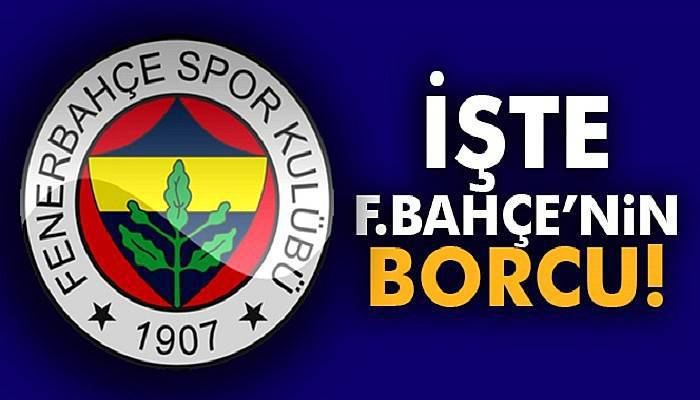  Fenerbahçe’nin borcu 418 milyon 878 bin 868 TL