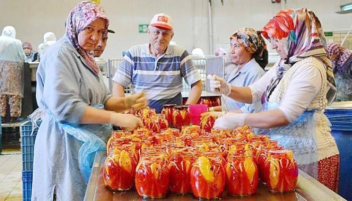 Biga'da közlenen biber Avrupa ülkelerine gönderiliyor