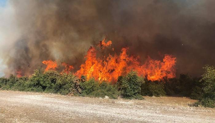 Çanakkale'de 70 dönümlük makilik alan kül oldu