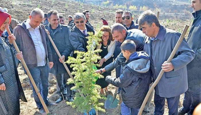 AK Parti'den Ömer Halisdemir Hatıra Ormanı