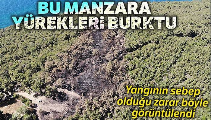 Heybeliada'da ormanda çıkan yangının sebep olduğu zarar havadan görüntülendi