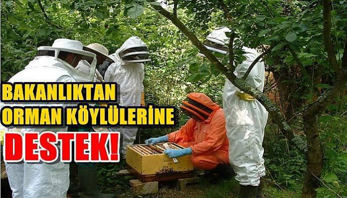 Bakanlık'tan Orman Köylülerine Destek