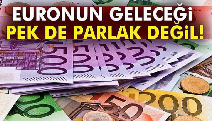 Euronun geleceği pek de parlak değil