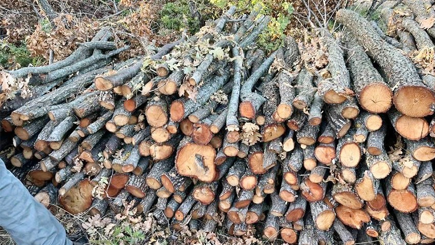 Biga’da Kış Hazırlıkları Hız Kesmeden Devam Ediyor