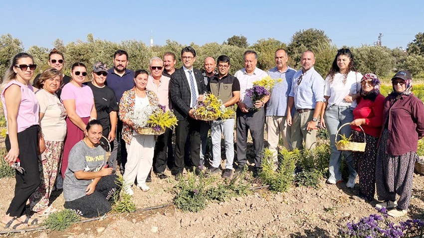 En güzel En güzel hasat şenliği