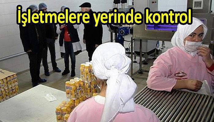 İşletmelere yerinde kontrol 