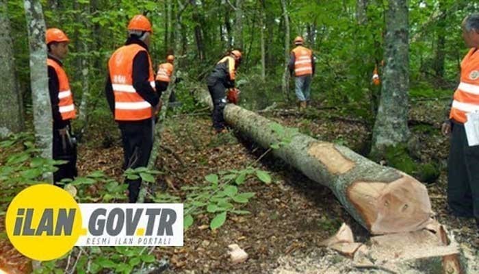 TEKNİK DENETİM VE KONTROL DANIŞMANLIK HİZMETİ ALINACAK