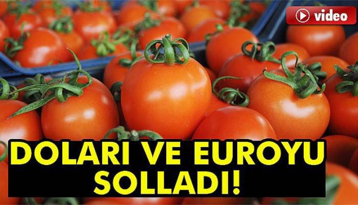  Domates doları da euroyu da solladı