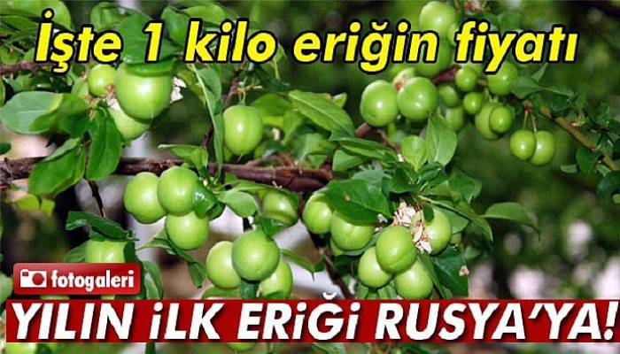  Yılın ilk eriği Rusya için hasat edildi