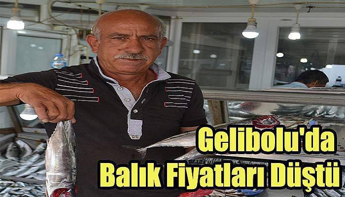 Gelibolu'da Balık Fiyatları Düştü