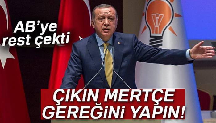 Cumhurbaşkanı Erdoğan'dan AB’ye rest: Çıkın mertçe gereğini yapın!