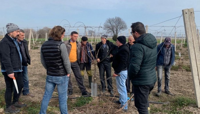 BİGA’DA UYGULAMALI “BUDAMA KURSU” VERİLDİ