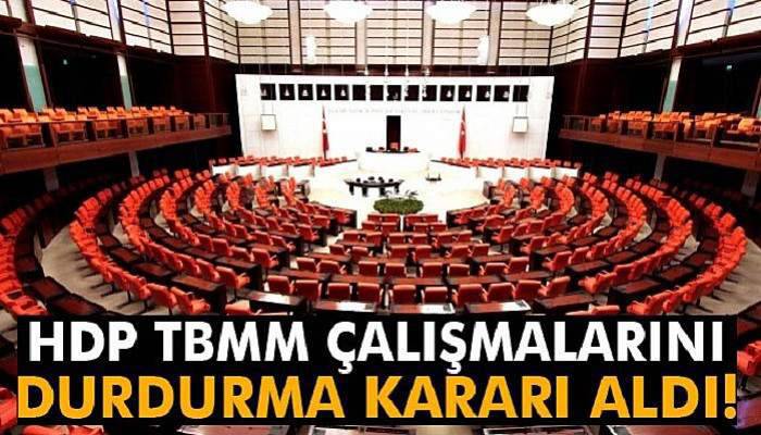 HDP: 'Yasama çalışmalarını durdurmaya karar verdik'