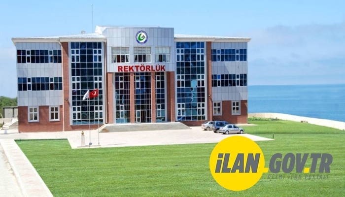 19 AKADEMİK PERSONEL ALINACAK