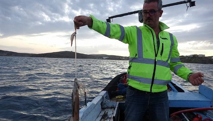 Bozcaada kalamarı gelir kapısı oldu