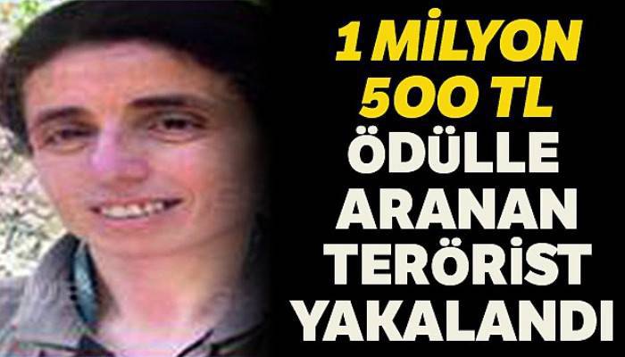 1 milyon 500 bin TL ödülle Mavi Kategori'de aranan terörist kırsalda yakalandı