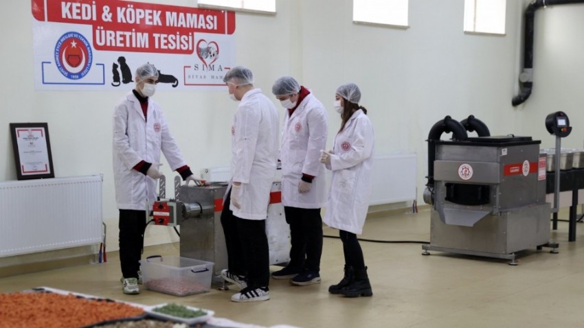 Lise Öğrencileri, Patili Dostlar İçin Yemek Artıklarından Mama Üretiyor