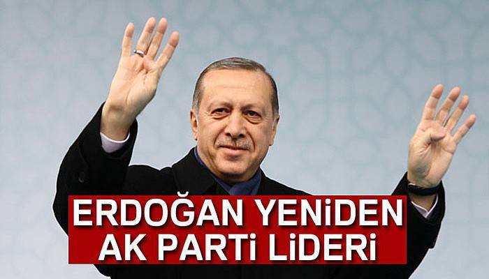 Erdoğan yeniden AK Parti lideri