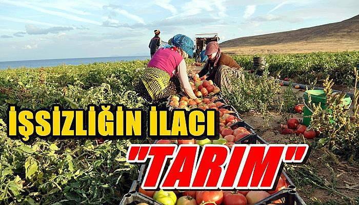 İşsizliğin İlacı Tarım