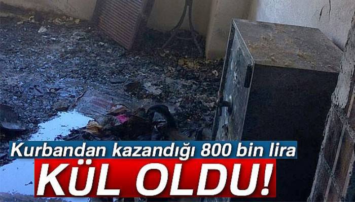 Kurbanlık satışından kazandığı 800 bin lira kül oldu