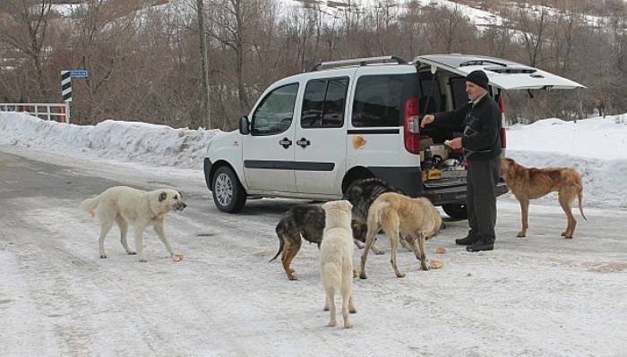 Her gün 50 kilometre yol gidiyor