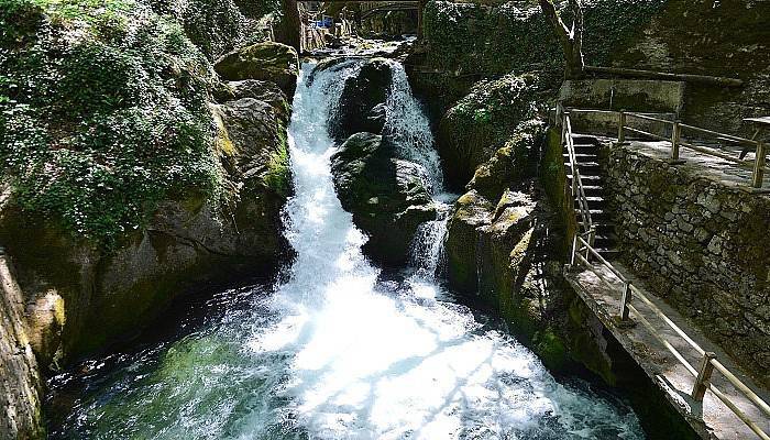 Çanakkale Belediyesi'nin 'Kazdağları'na Sahip Çıkmaya Gidiyoruz' gezileri başlıyor