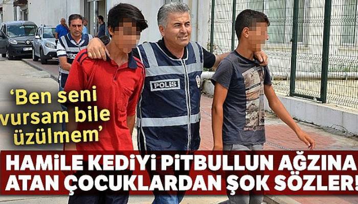 Hamile kediyi pitbullun ağzına atan çocuklardan şok sözler