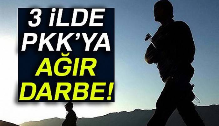 Muş, Van ve Erzincan’da 7 terörist etkisiz hale getirildi