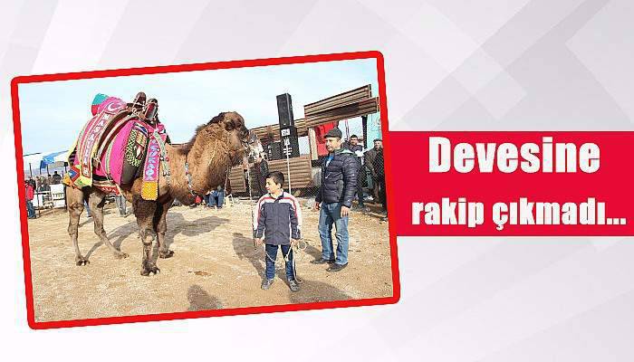 Devesine rakip çıkmadı...