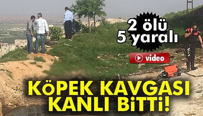 Köpek sahiplenme tartışmasında kan aktı: 2 ölü, 5 yaralı