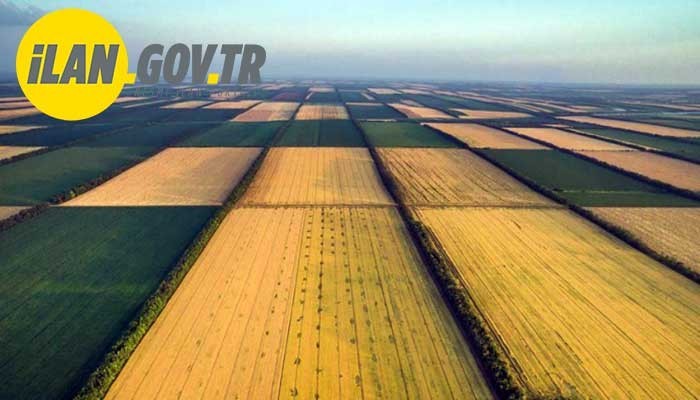 3 ADET TAŞINMAZ SATIŞ İHALESİNE ÇIKTI