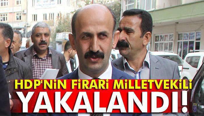 HDP'nin firari milletvekili gözaltına alındı