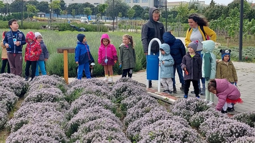 Aromatik ve Tıbbi Bitkiler Parkı'na ziyaretler devam ediyor