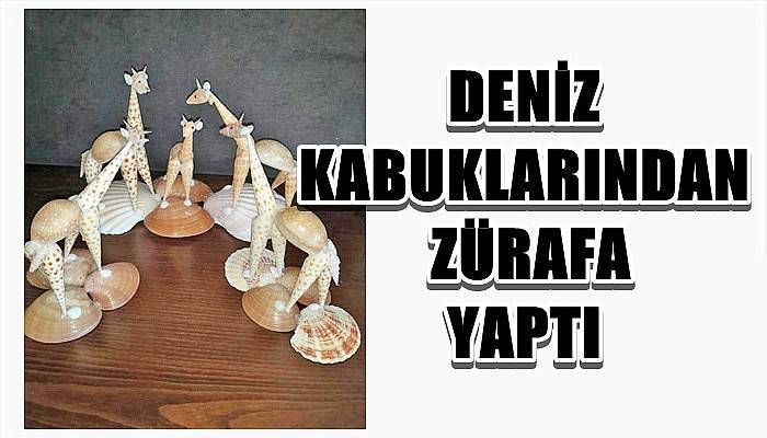 Deniz Kabuklarından Zürafa Yaptı 