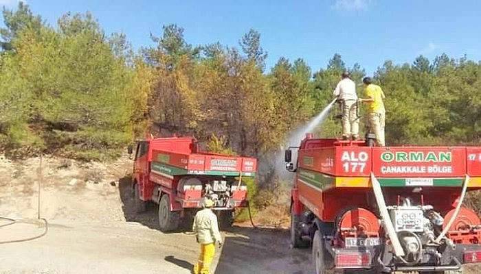 Çanakkale’de orman yangını