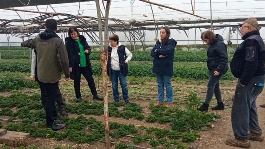 Çanakkale’de yabancı otlarla mücadele başladı