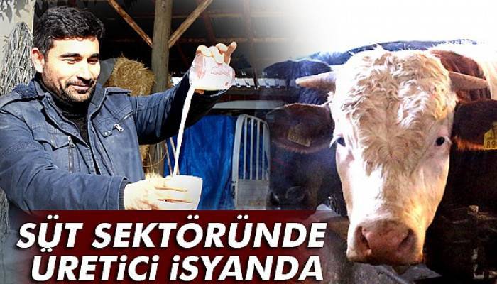 Tartışmaların yaşandığı süt sektöründe üretici isyanda