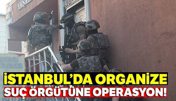 İstanbul'da organize suç örgütüne operasyon