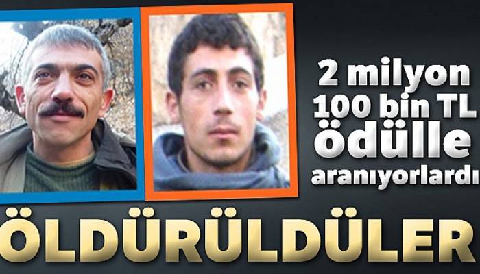 2 milyon 100 bin TL ödülle aranıyorlardı öldürüldüler