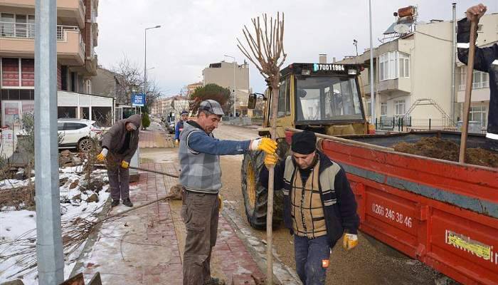 Gelibolu yeşillenecek!