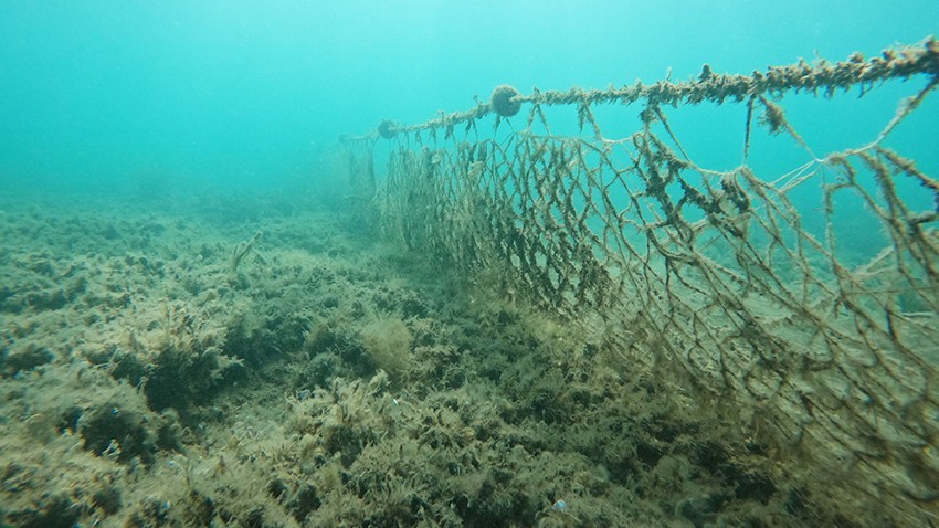 Hayalet ağlar deniz canlılarına büyük zararlar veriyor