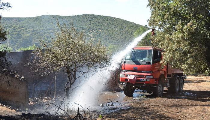 Hem buğdayları hem 53 küçükbaş hayvanı yandı