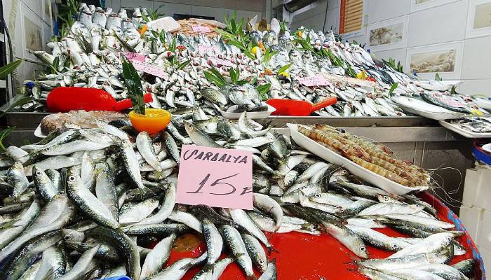 BALIKÇILAR VE VATANDAŞLAR BALIK SEZONUNDAN UMDUĞUNU BULAMADI