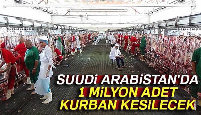 Suudi Arabistan'da 1 milyon adet kurban kesilecek